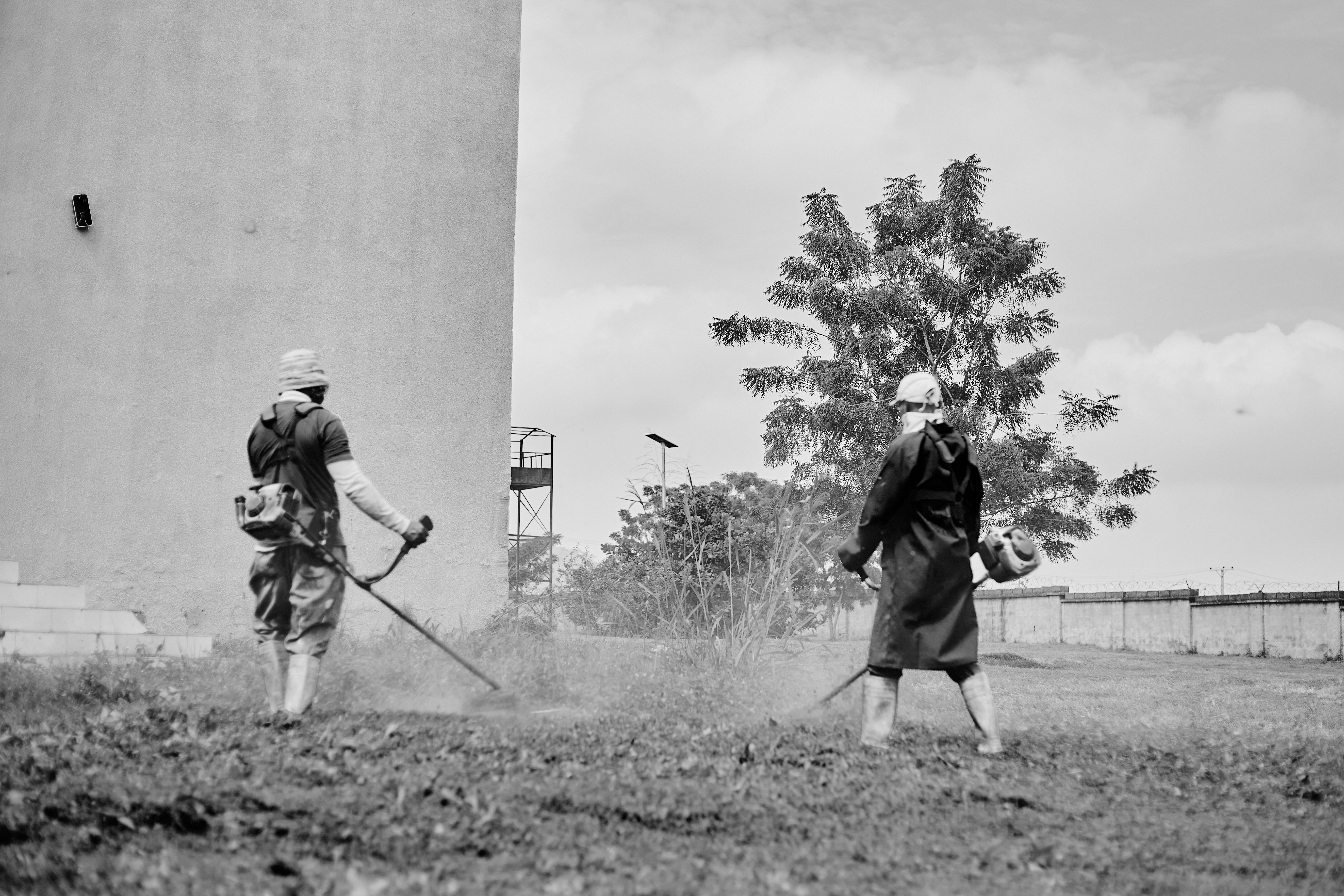 Two landscape workers using brush cutters outdoors