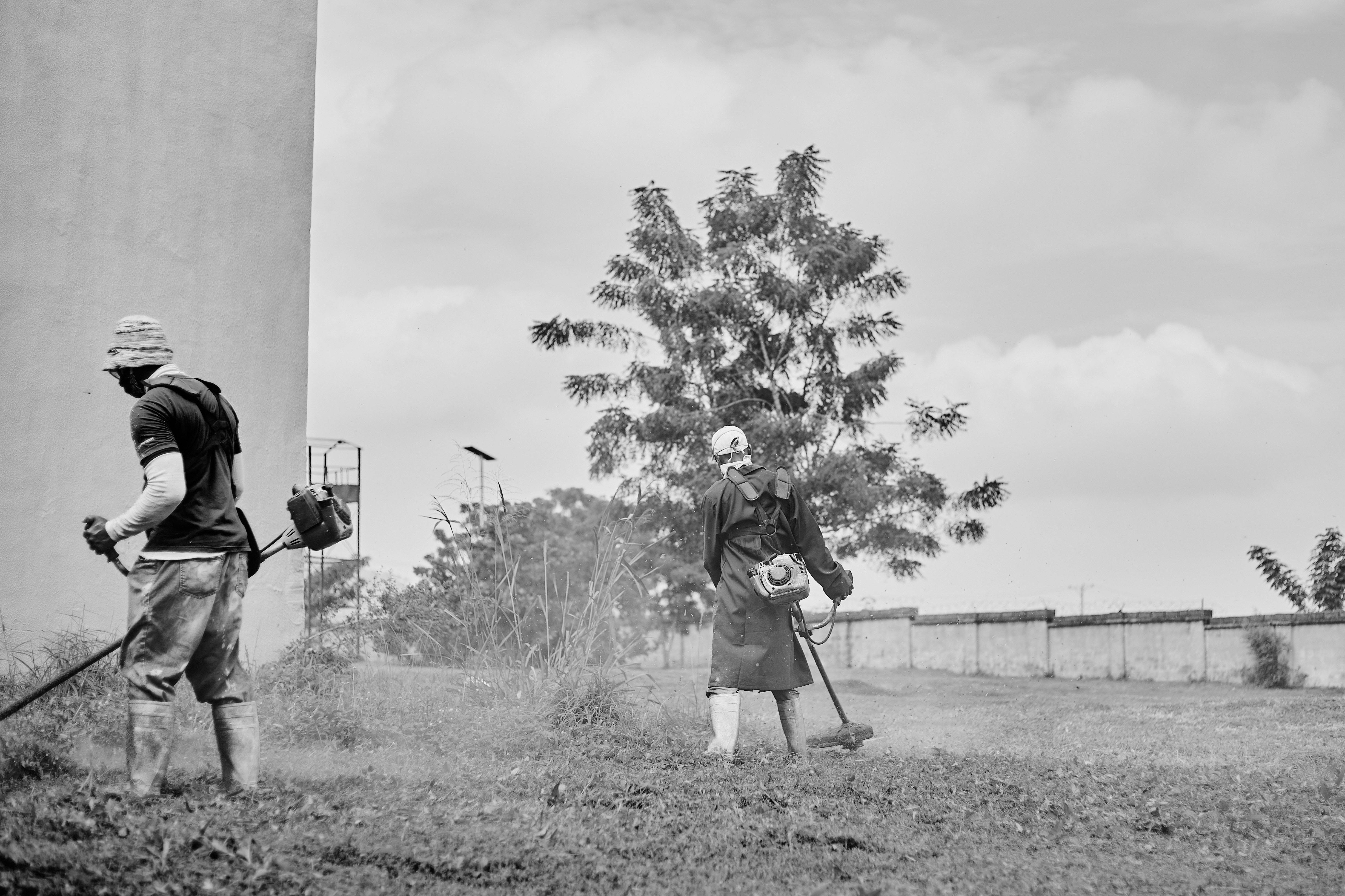 Sfaturi pentru întreținerea mașinilor de tuns iarba înainte de iarnă