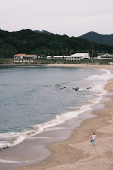 好的，我会按照您的要求进行句子的优化