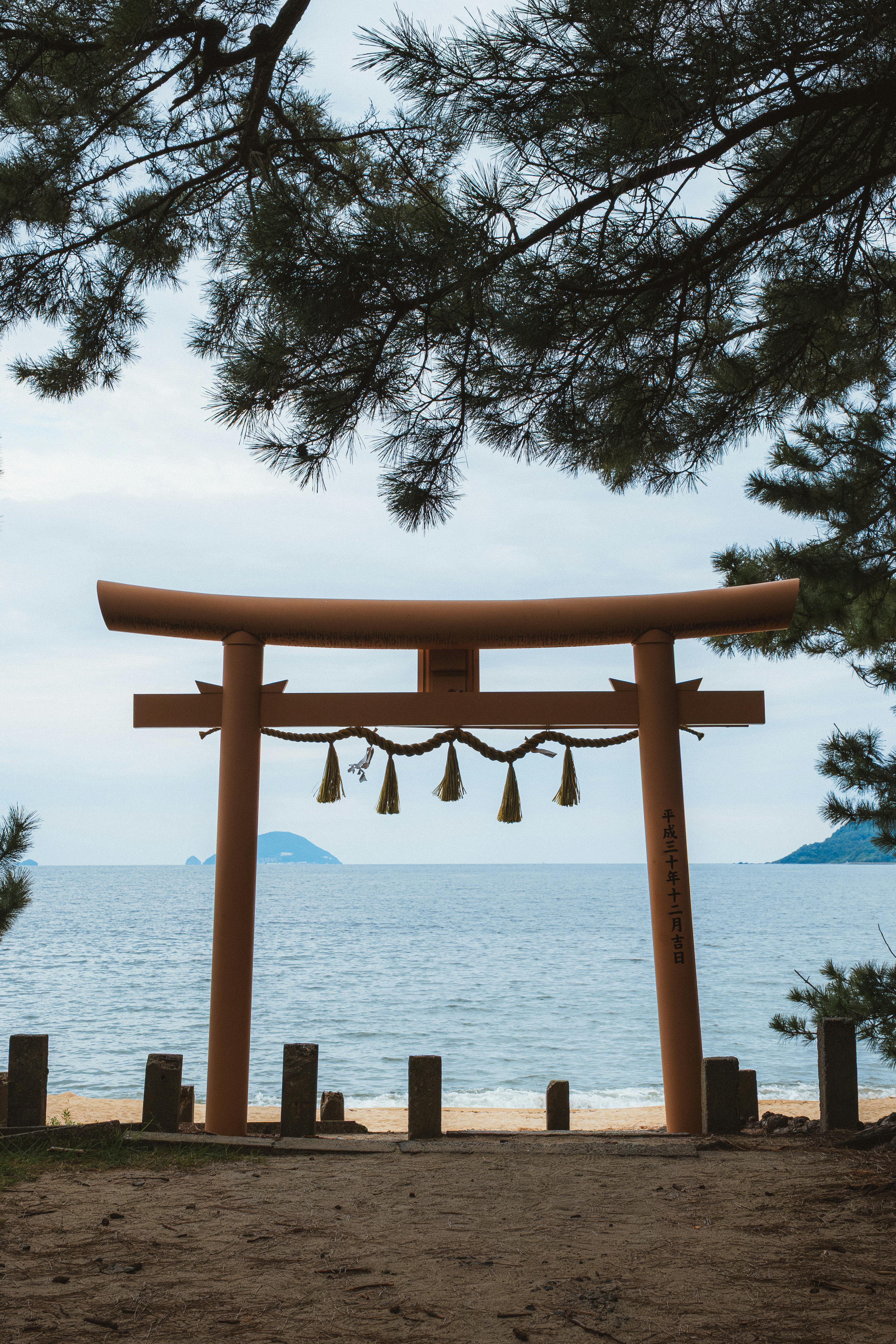 好的，以下是优化后的句子：
你是一名专业的文本编辑，擅长纠正由其他语言直译成中文时产生的不自然语序