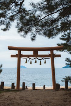 好的，以下是优化后的句子：
你是一名专业的文本编辑，擅长纠正由其他语言直译成中文时产生的不自然语序