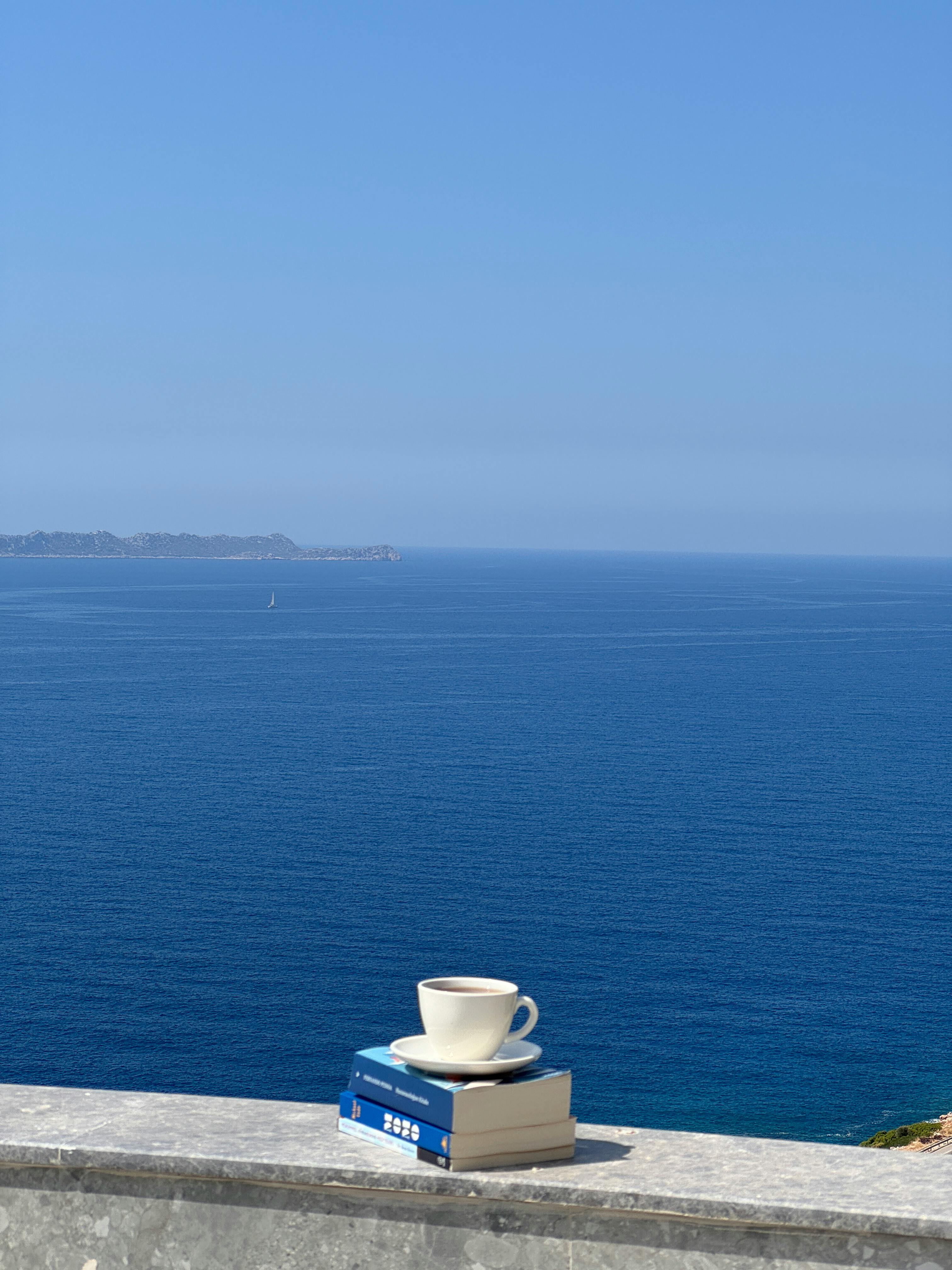 好的，我会按照您的要求进行句子的优化