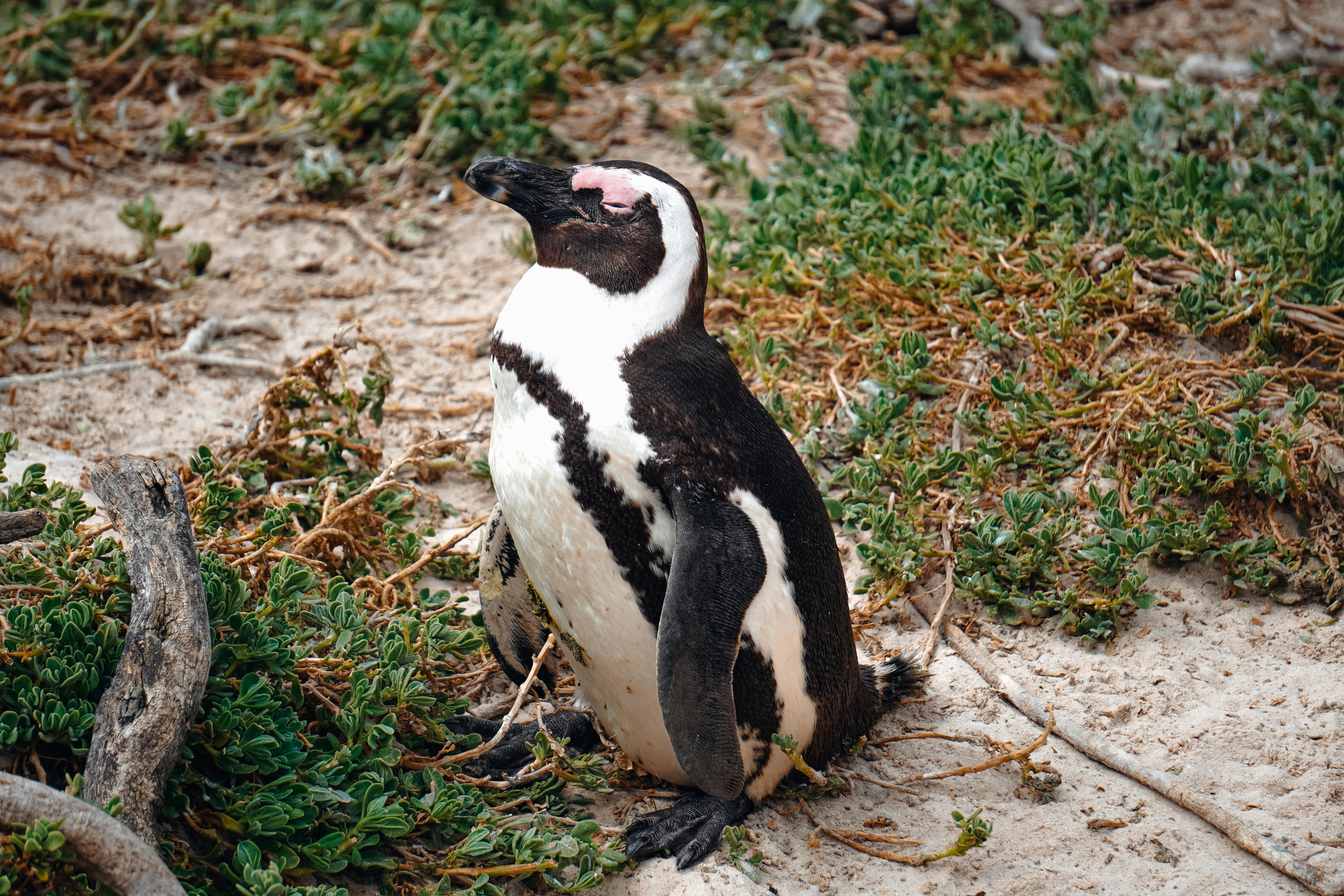 好的，我会按照您的要求进行语句的优化