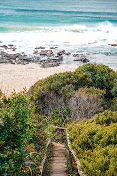 好的，我会按照您的要求进行句子优化
