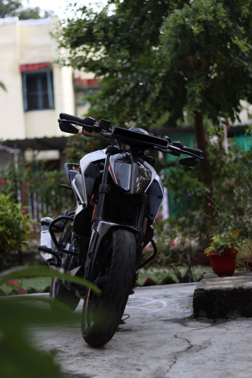 Free A sleek motorcycle parked in a lush garden area, showcasing a blend of nature and modern design. Stock Photo