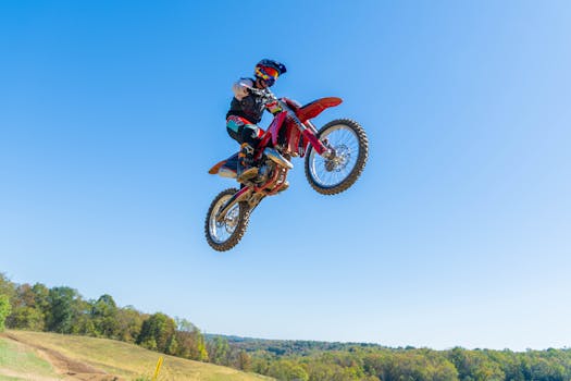 好的，请提供您需要我进行语言调整的文本