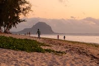 好的，我将会按照您的要求进行句子的优化