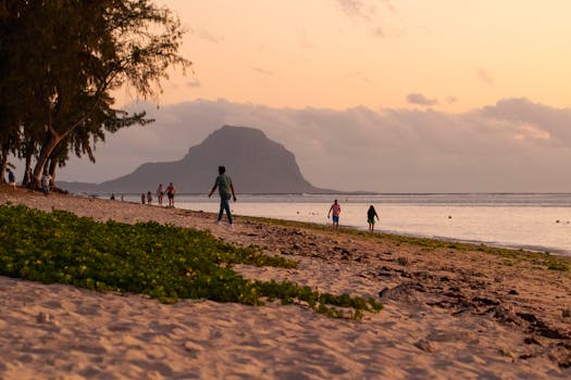 好的，我将会按照您的要求进行句子的优化