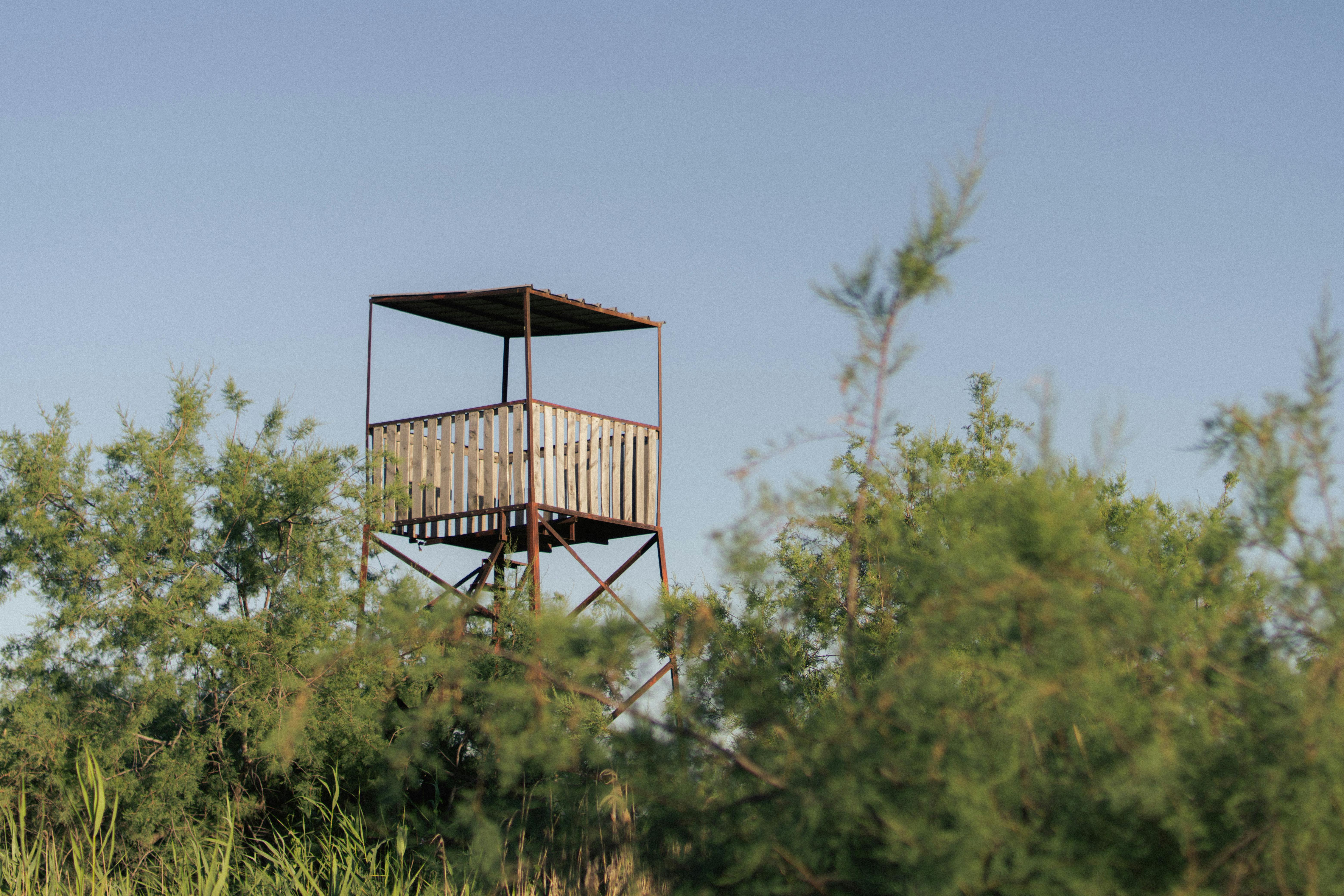 泻湖中的观点，即在泻湖中的观点，是一种比喻的说法，指的是在一个特定的环境中或群体中形成的一种观点或看法