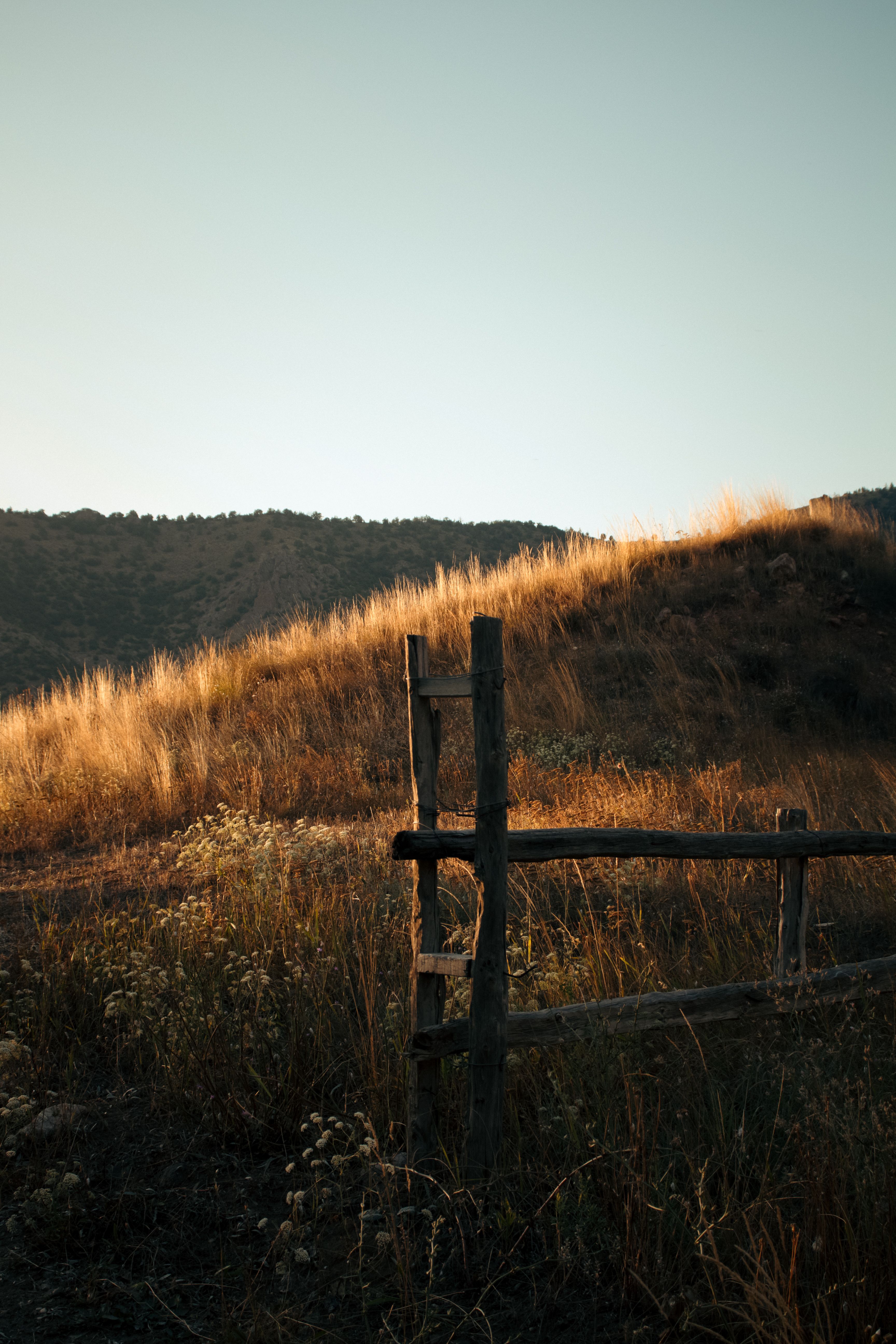 Rustic Wooden Fence in Sunlit Grassy Field · Free Stock Photo