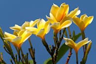 您没有提供具体的文本内容，所以我无法直接对其进行优化