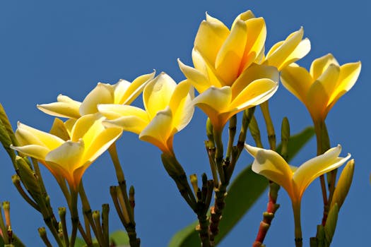 您没有提供具体的文本内容，所以我无法直接对其进行优化