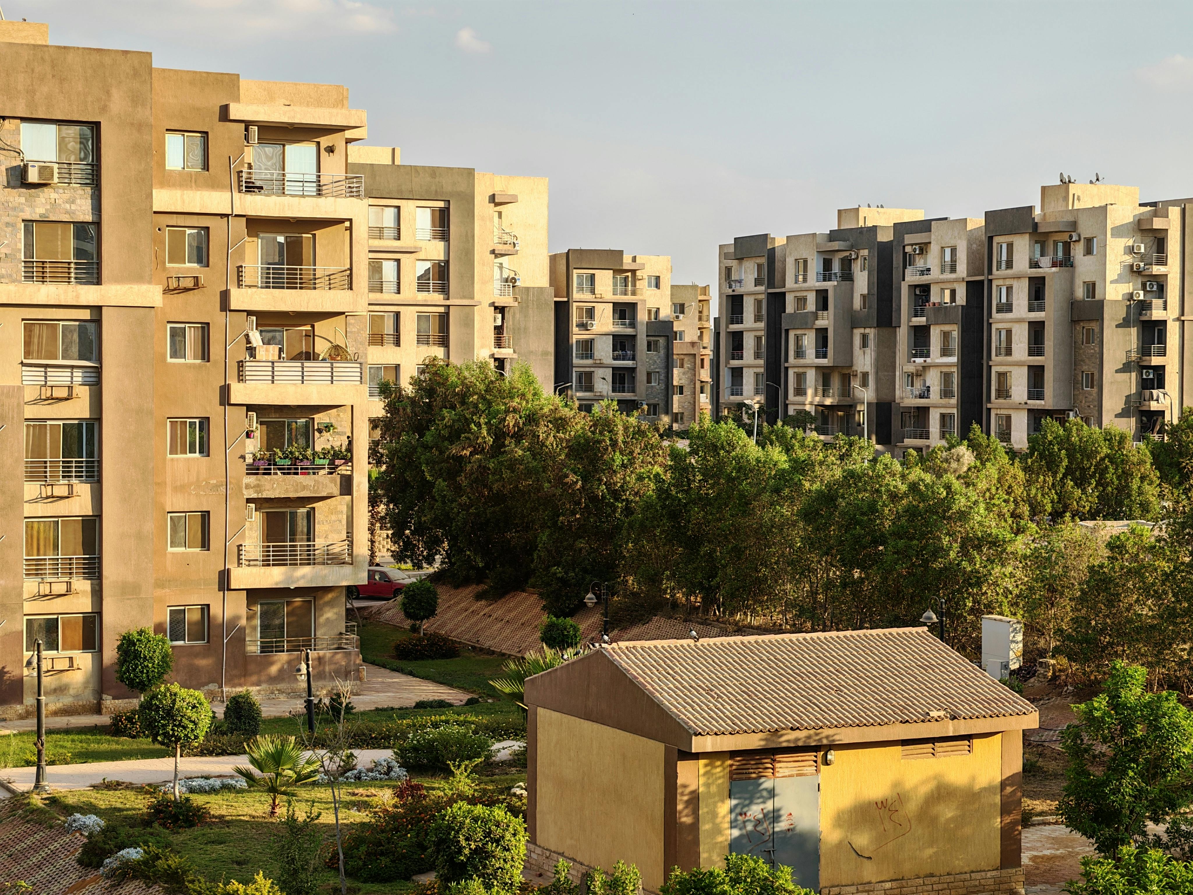 Explore factors influencing residents' green lifestyle: evidence from the Chinese General Social Survey data — Photo by Mahmo