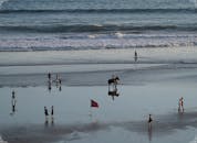 好的，我会根据您的要求进行句子的优化