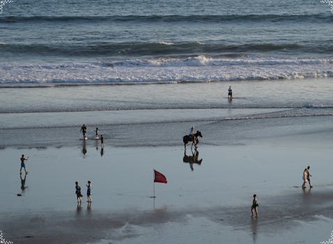 好的，我会根据您的要求进行句子的优化