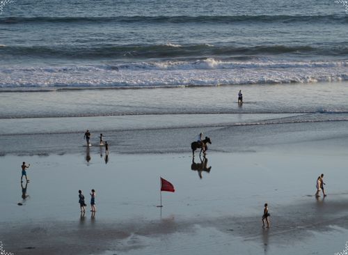 Free A tranquil beach scene with people and a horse enjoying the shoreline at sunset. Stock Photo