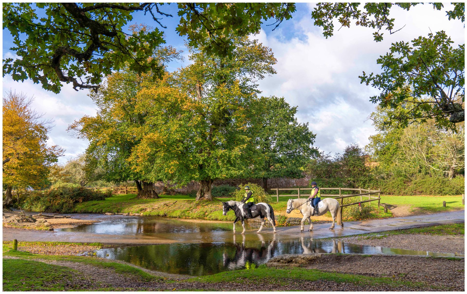Water Crossing New Forest UK