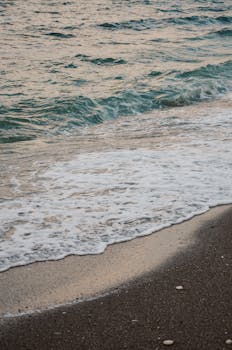 日落时分，平静的海浪轻轻地冲刷着布满贝壳的沙滩