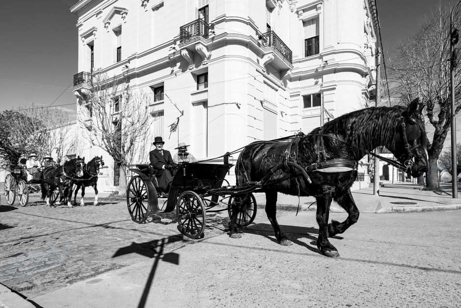 Robaron y faenaron caballos de polo: ocho aprehendidos en Moreno, uno de ellos con tres pedidos de captura pendientes
