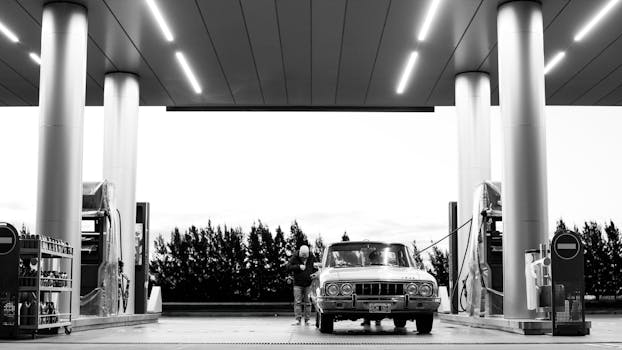 好的，我会按照规则进行句子的优化