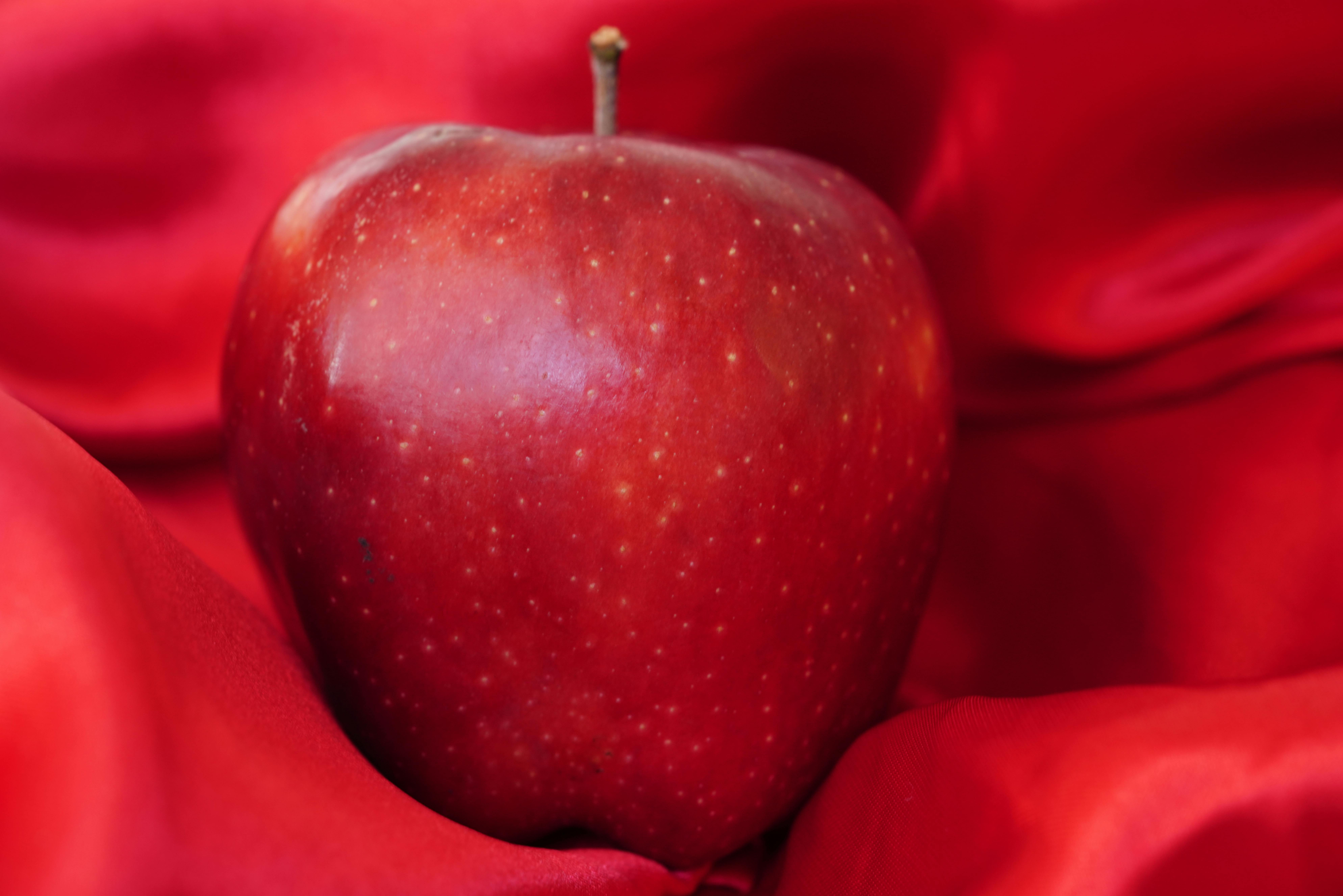 Transform Your Desserts with Natural Food Colorings and Flavorings