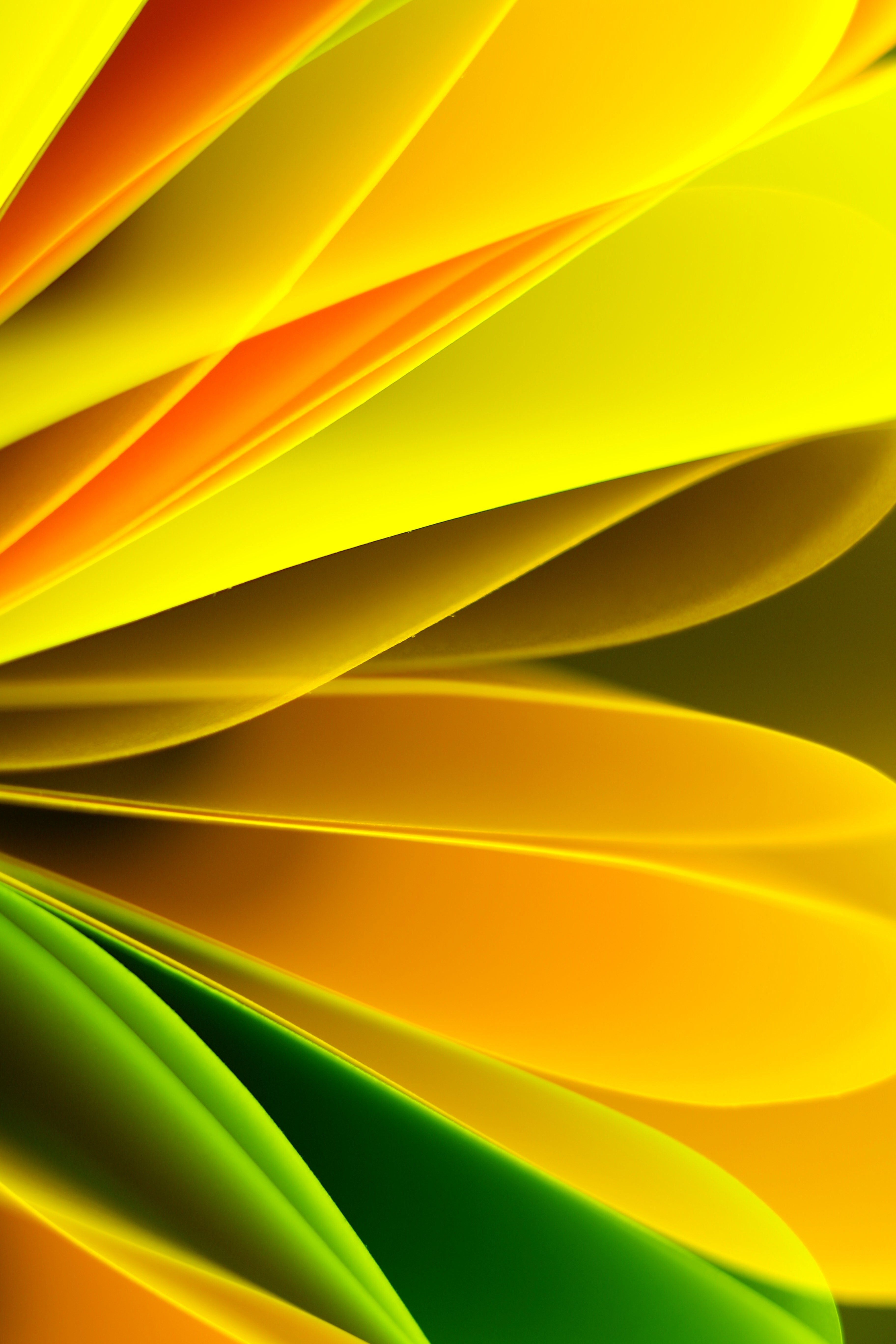 Yellow Green Backgrounds Photos, Download The BEST Free Yellow Green ...