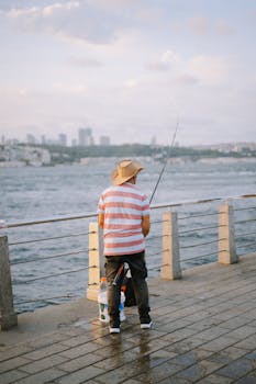 博斯普鲁斯海峡是连接黑海和马尔马拉海的重要通道，其免费库存照片、电影外观以及鱼都值得探索
