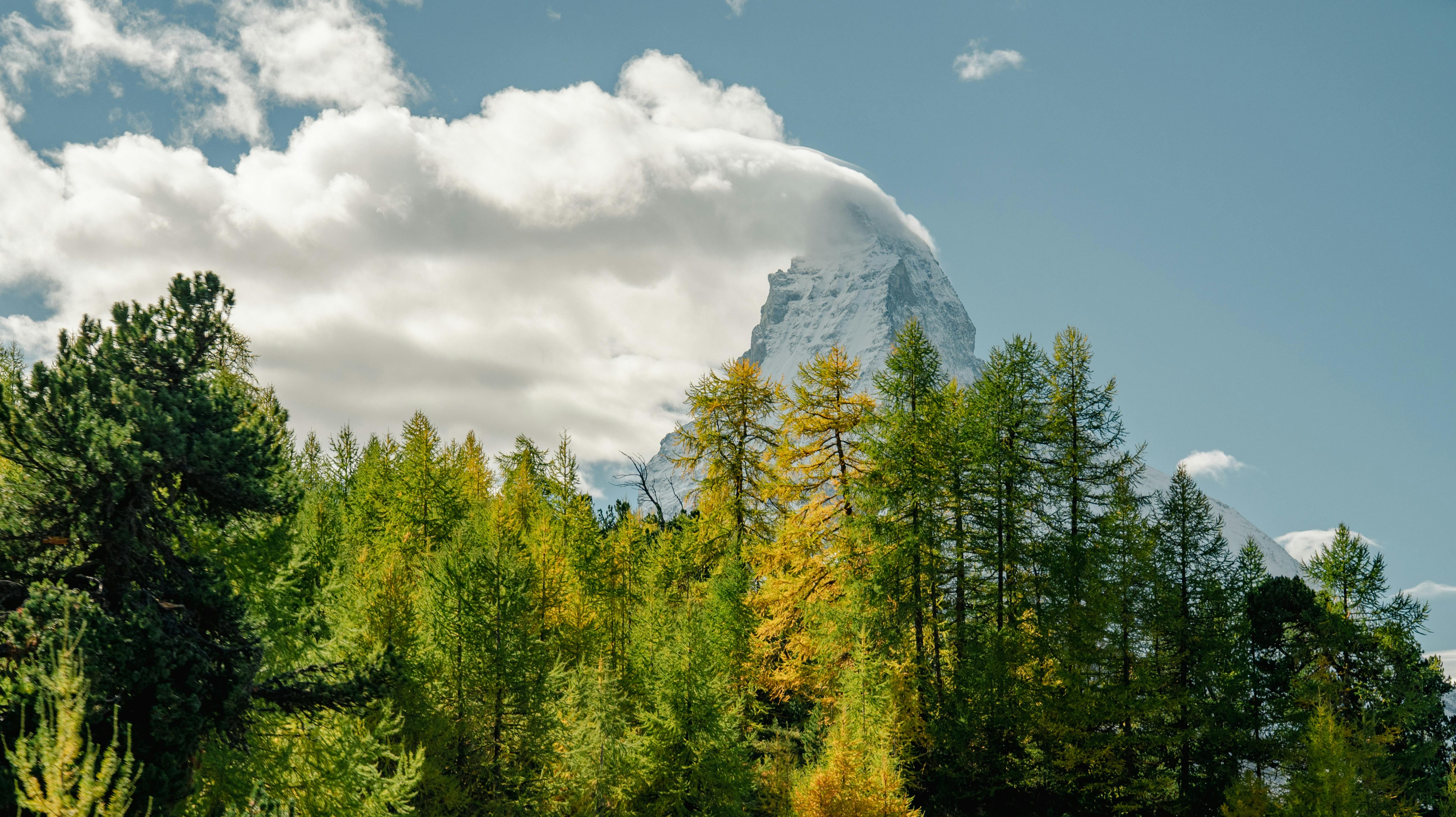 瑞士采尔马特峰的秋季景观非常美丽，树木也充满活力