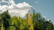 瑞士采尔马特峰的秋季景观非常美丽，树木也充满活力