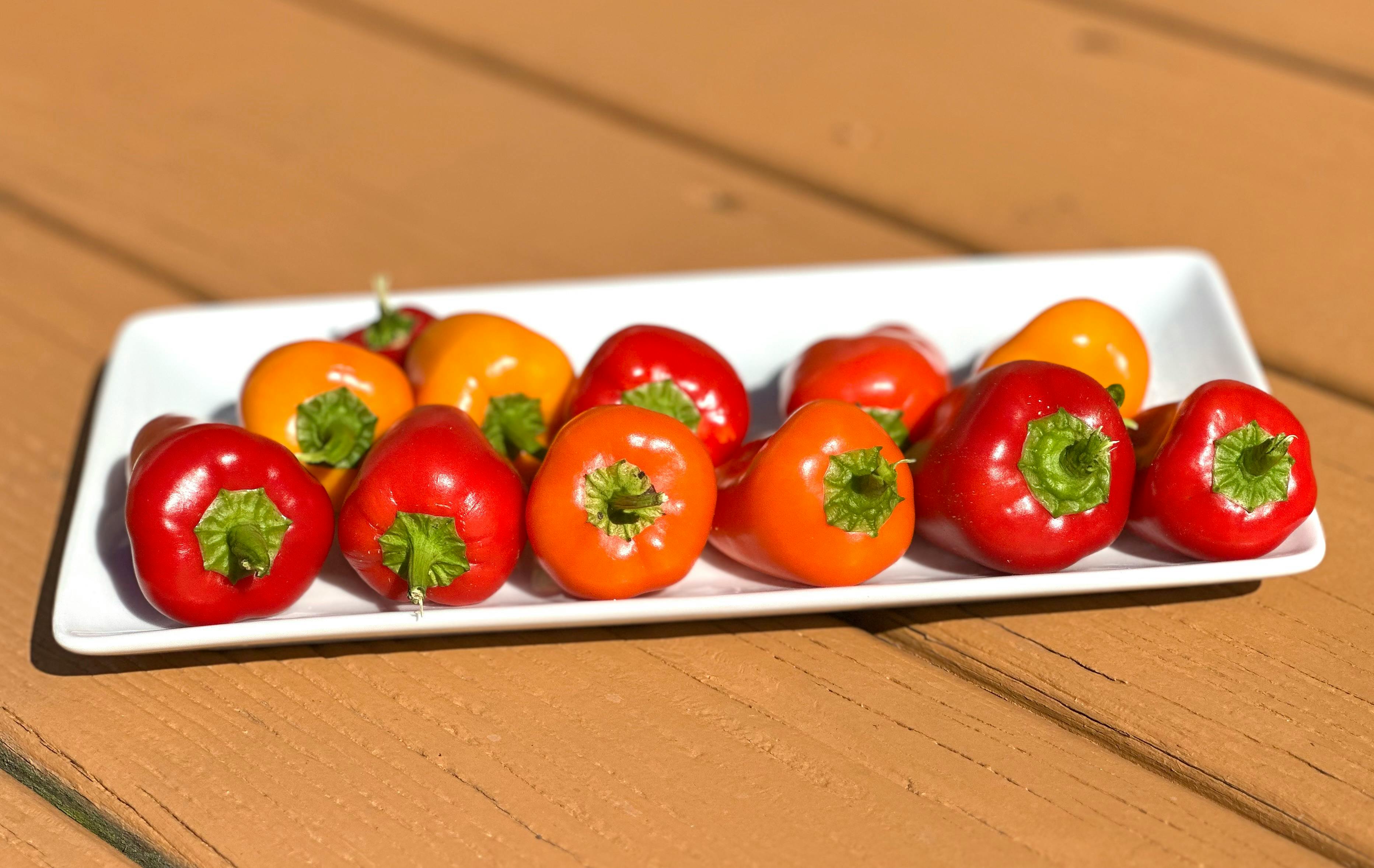 白家綺驚悚經歷揭密！規律生活中不可忽視的健康警訊