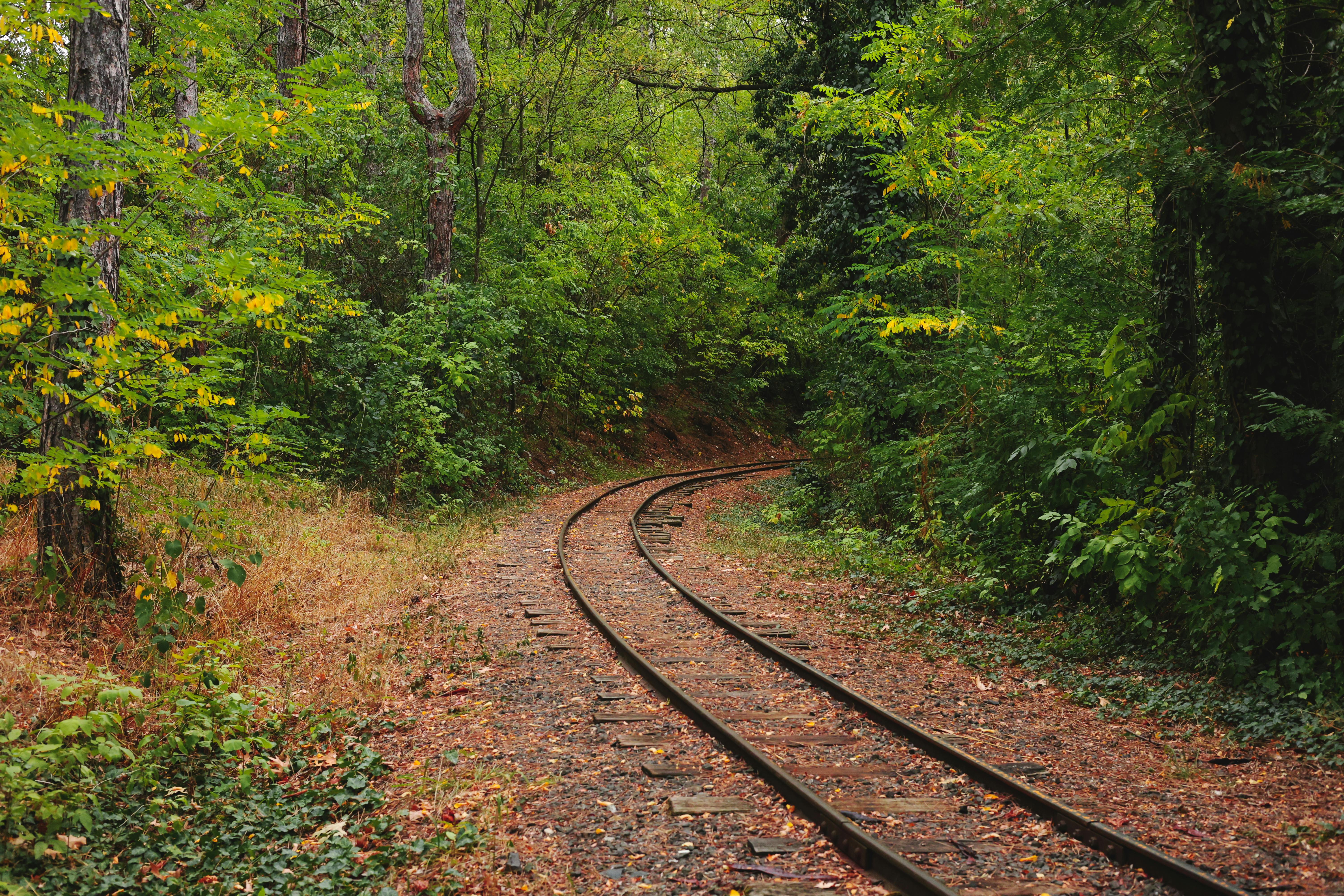 Eco-Friendly Luxury Travel: Exploring Sustainable Elegance