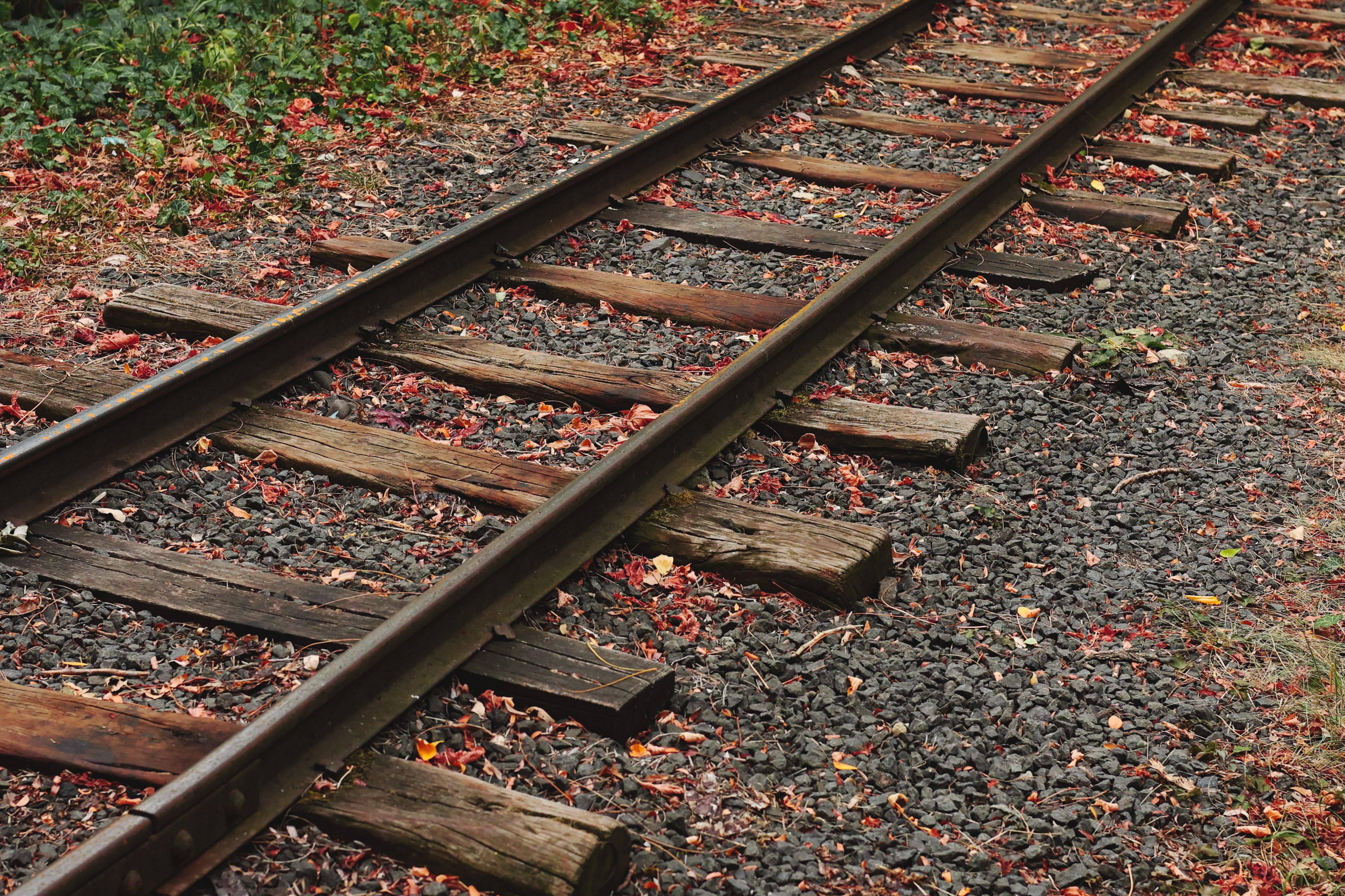 Rustic railway tracks covered with colorful autumn leaves in Bulgaria.