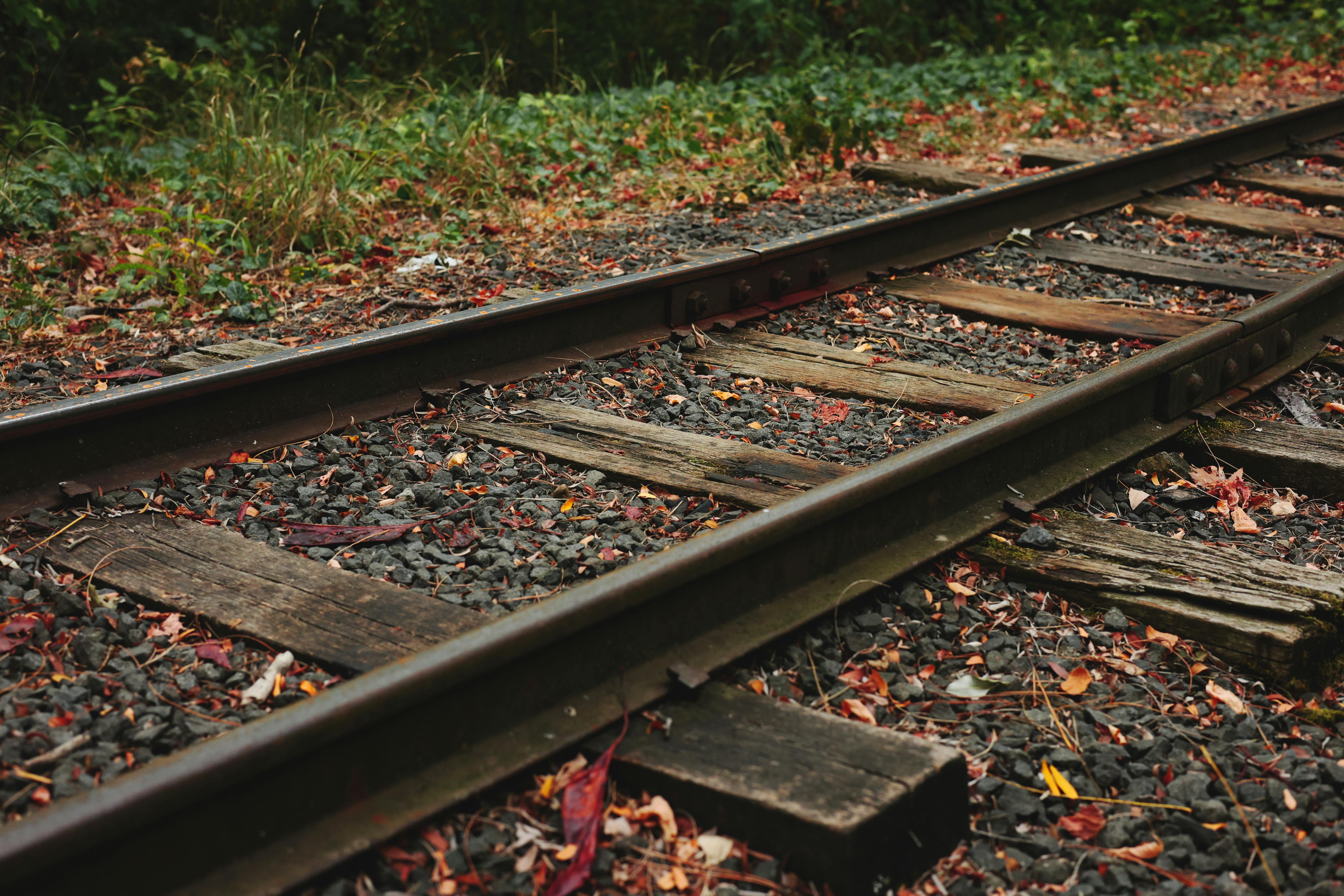 Irresistible Seasoning Blends: Enhance Your Cooking