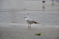 好的，我会根据您的要求进行语句优化