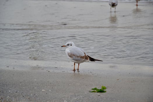 好的，我会根据您的要求进行语句优化