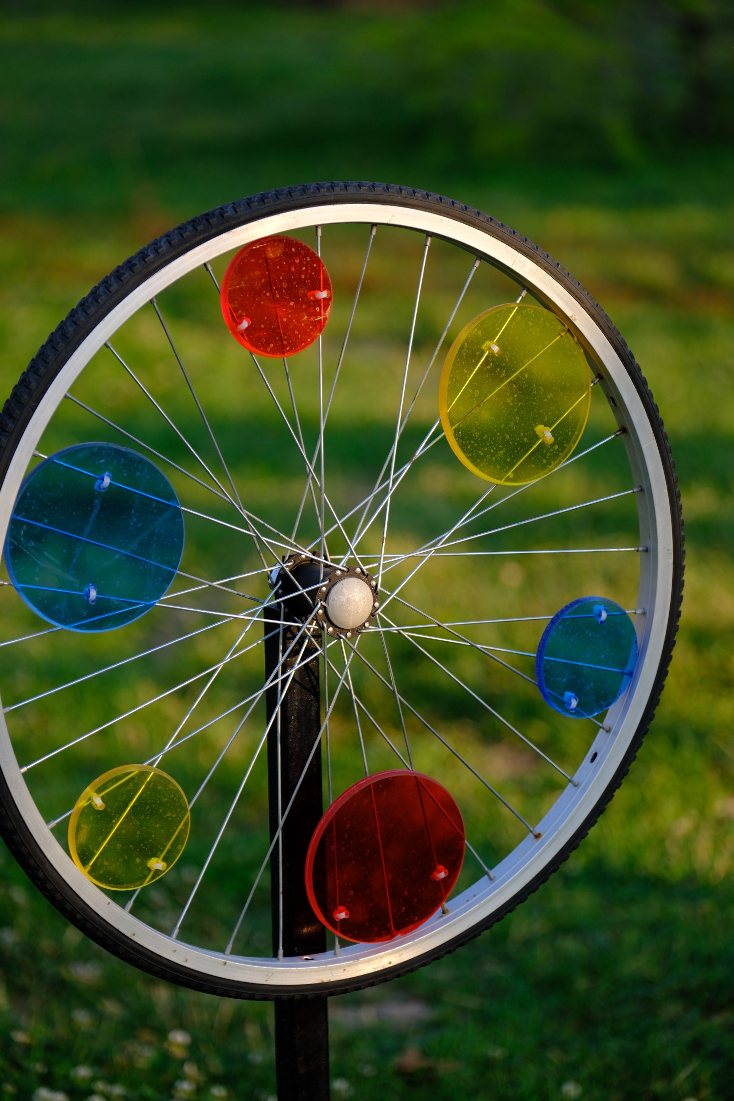 Colorful Bicycle Wheel in Green Park Setting · Free Stock Photo