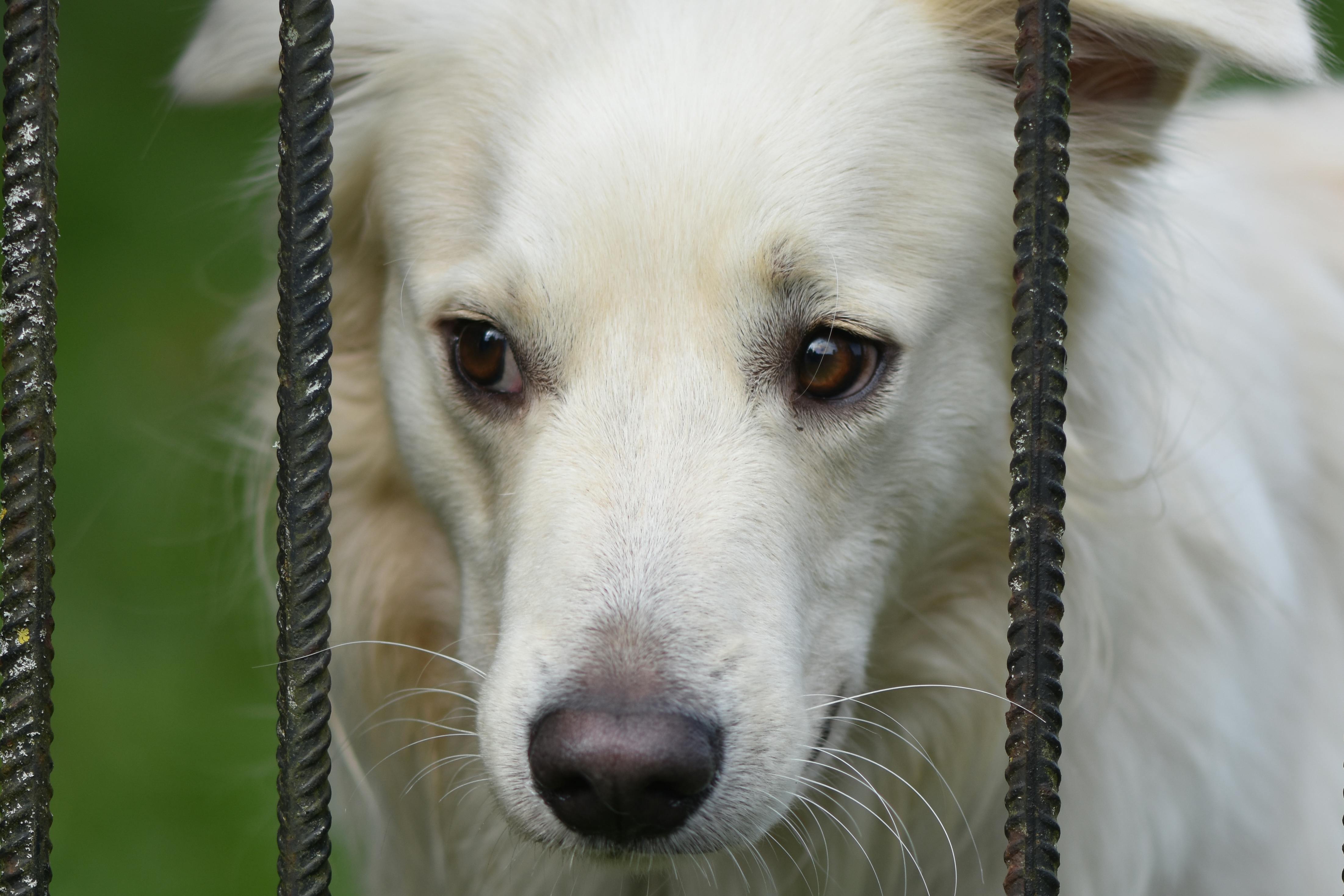 生活：上午7時52分北部有感地震，民眾迅速報告無災情