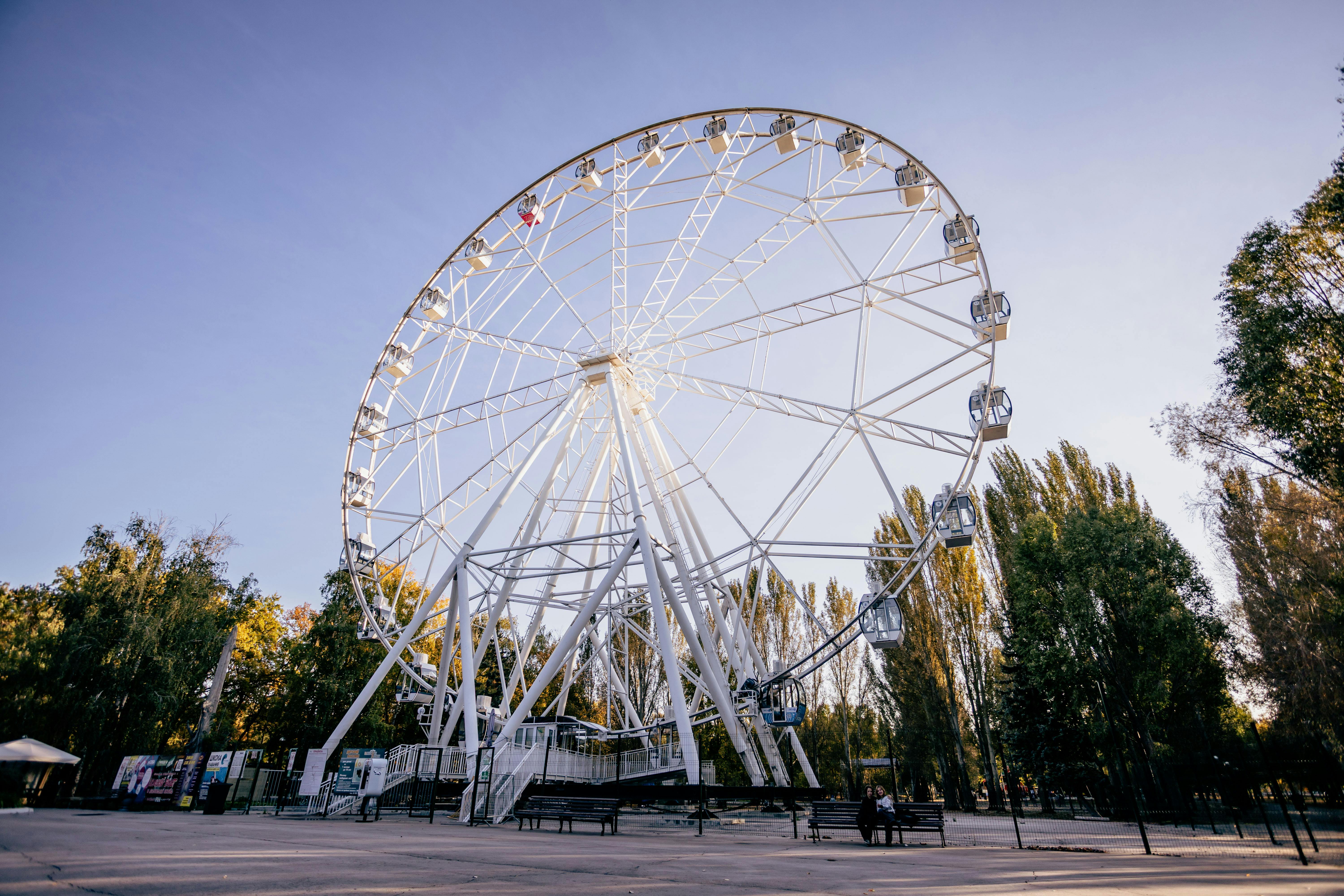 在宁静的公园里，高耸的摩天轮矗立着，周围是高大的树木环绕