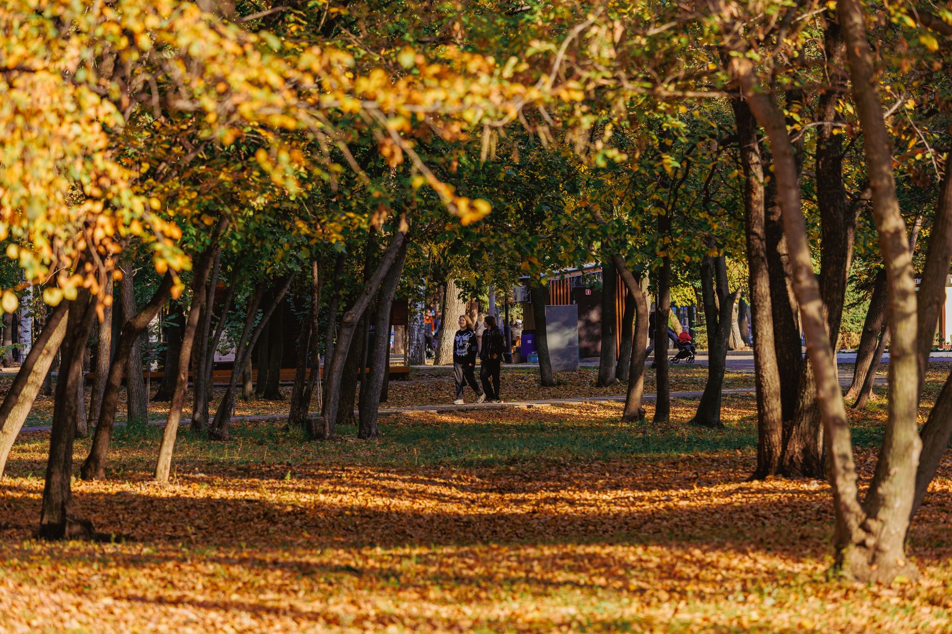 Sonbaharda parkta yürüyen insanlar