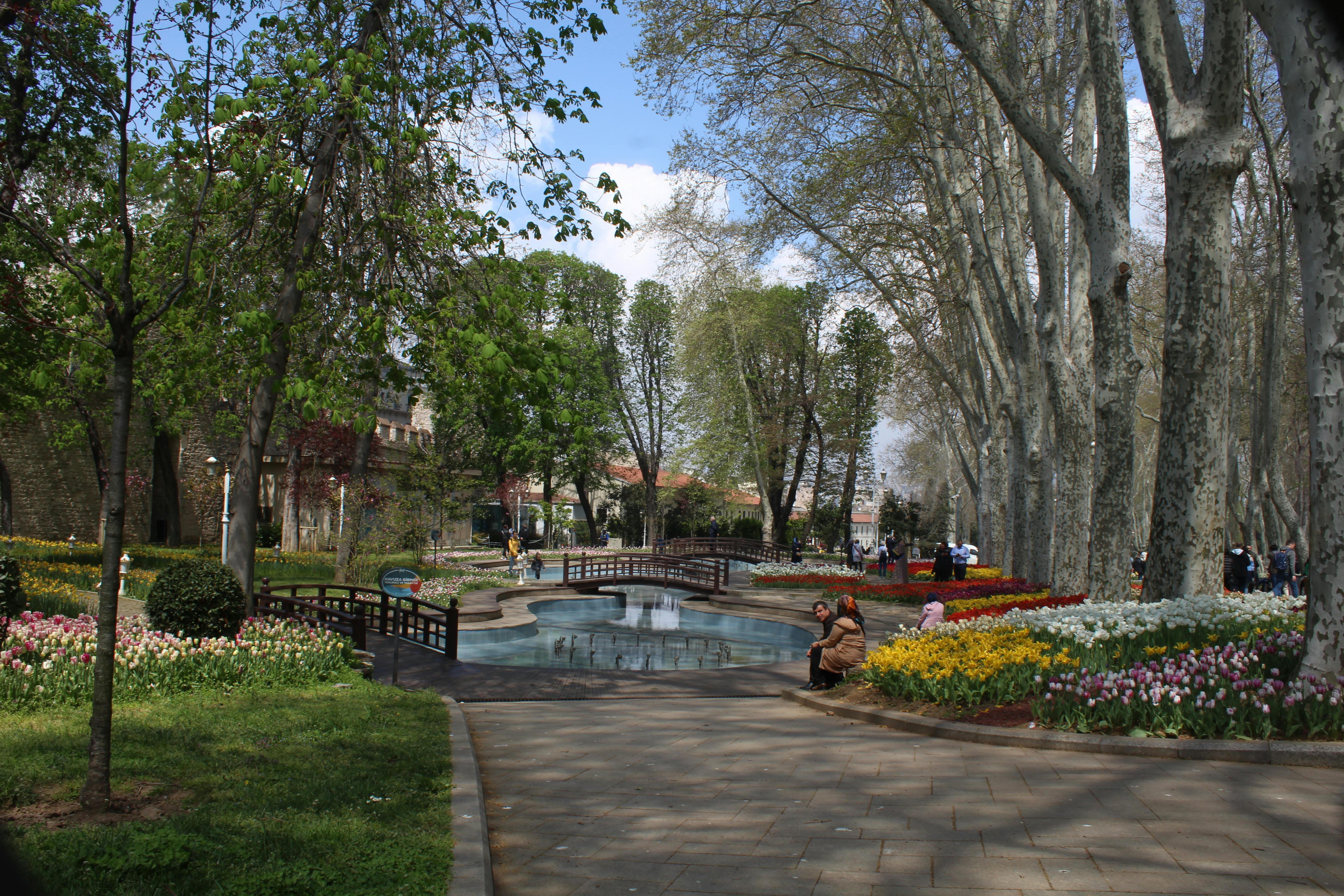 在春天的背景下，一个宁静的公园里，色彩缤纷的郁金香和高大的树木