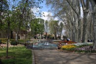 在春天的背景下，一个宁静的公园里，色彩缤纷的郁金香和高大的树木