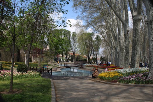 在春天的背景下，一个宁静的公园里，色彩缤纷的郁金香和高大的树木