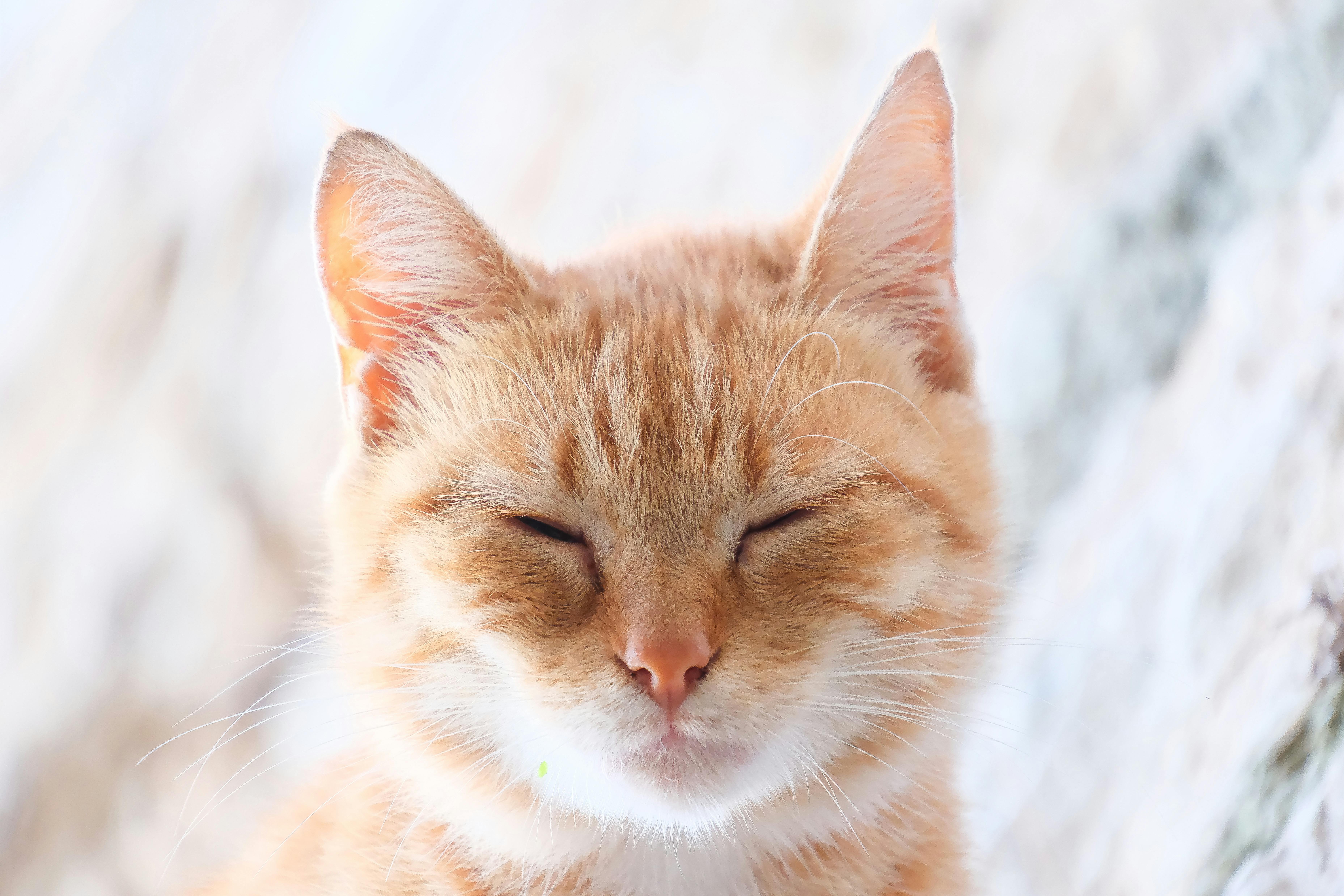 Top 100 Viral Challenges You Must Try Today / Sleeping Challenge