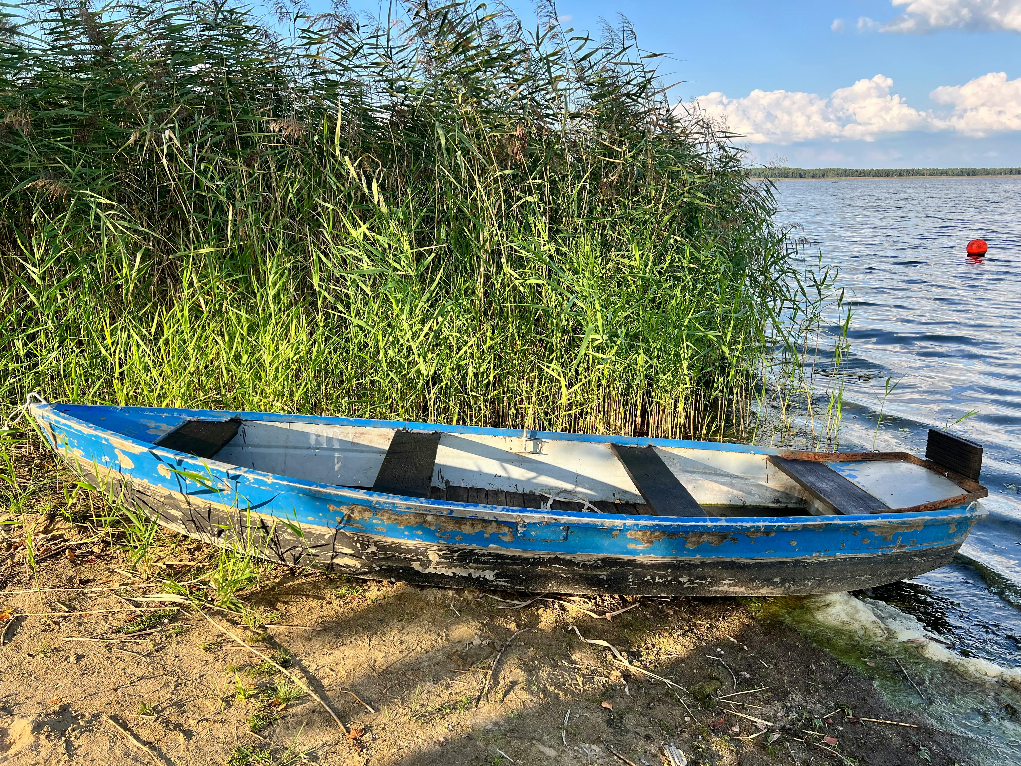 好的，我会遵循您的指示进行文本编辑