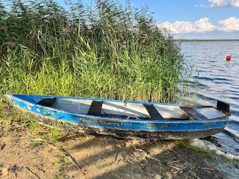 好的，我会遵循您的指示进行文本编辑