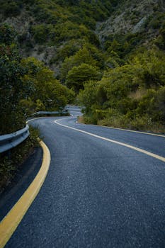 Curvy road with yellow lines winding through a lush green forest in Çanakkale, Türkiye.