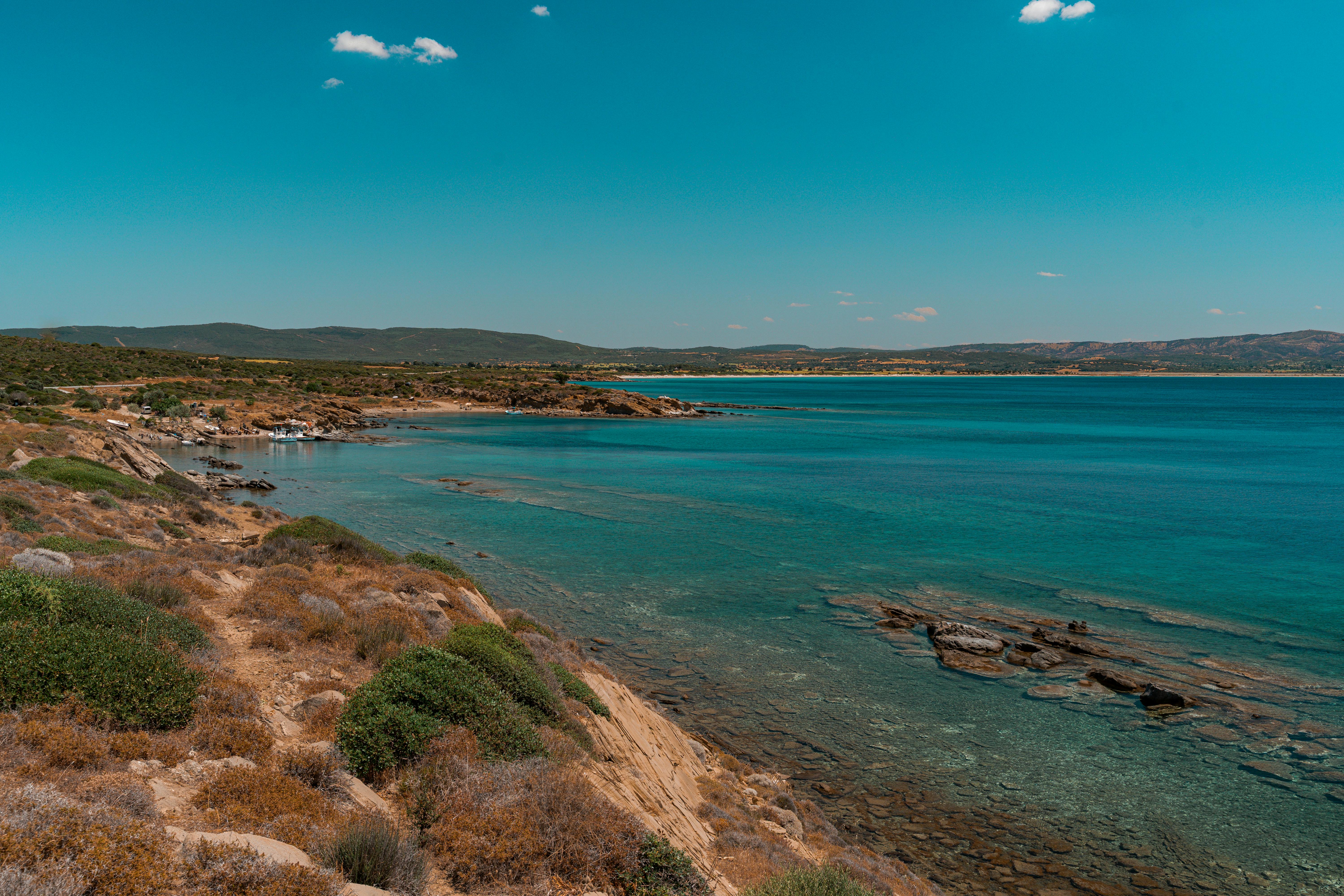 新竹國際風箏節盛大開幕 千隻風箏繽紛齊飛天際