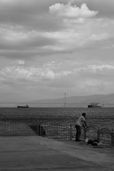 好的，我会按照要求进行句子的优化