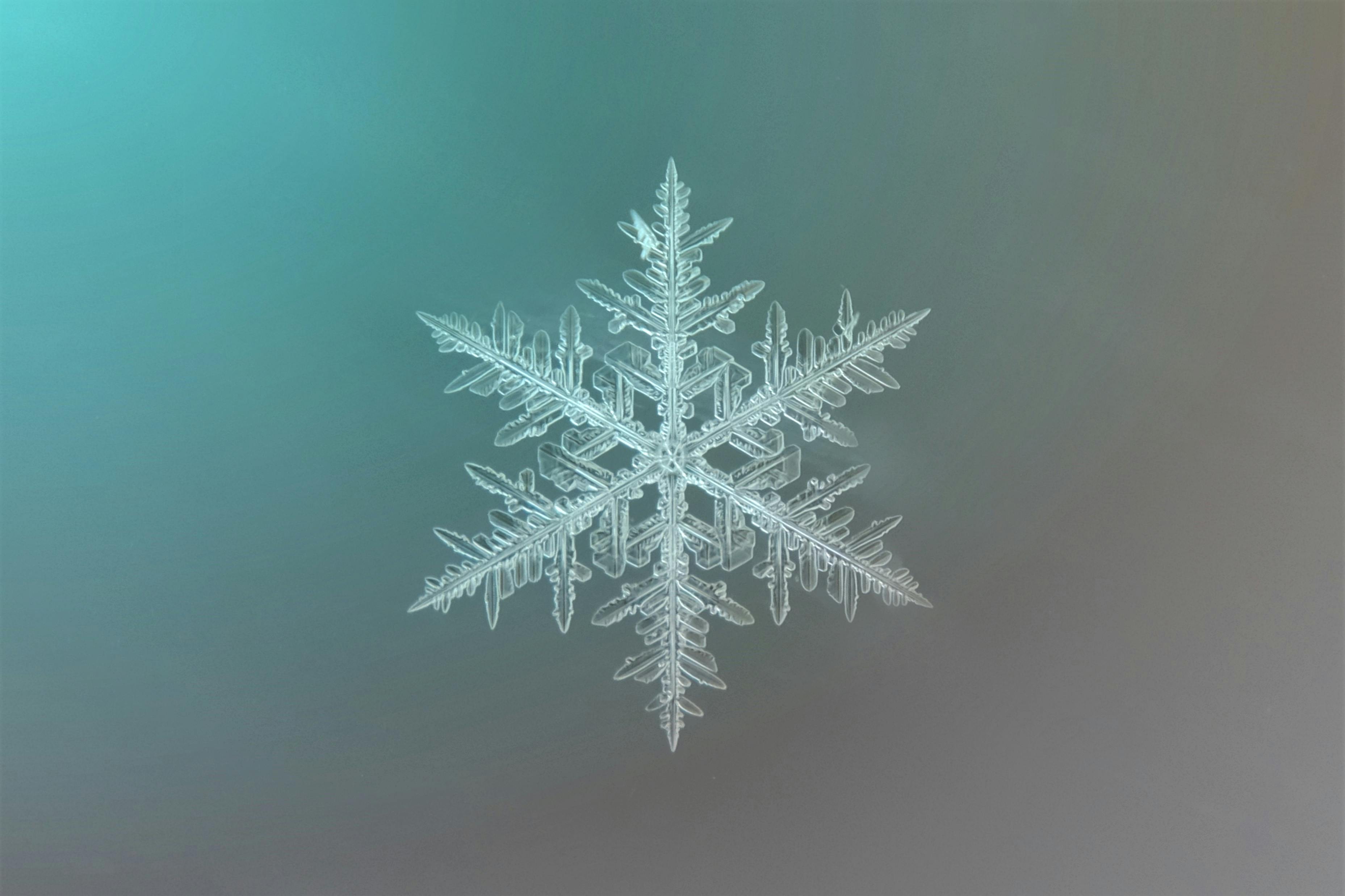 Detailed macro photo of a symmetrical snowflake with an artistic gradient backdrop.