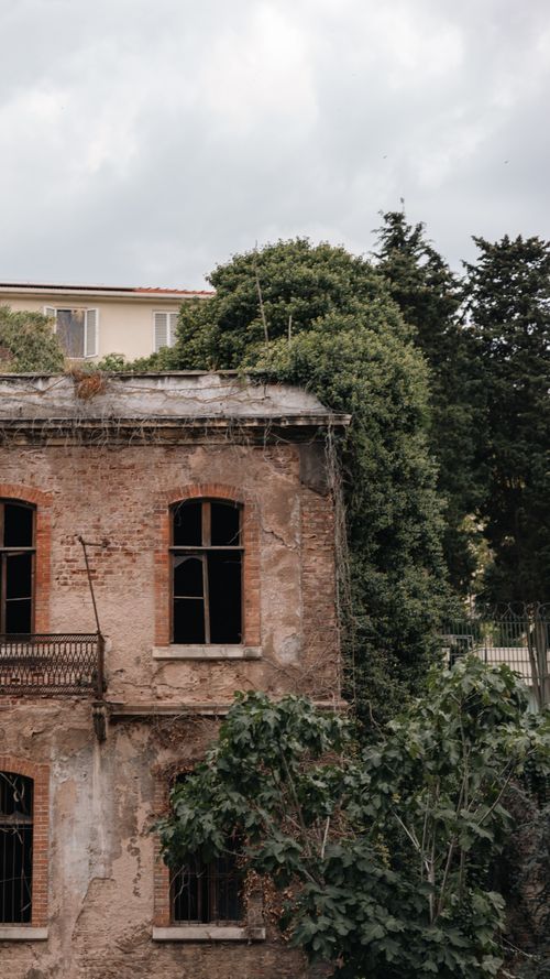 Free Old brick building covered in lush greenery, symbolizing nature reclaiming urban areas. Stock Photo
